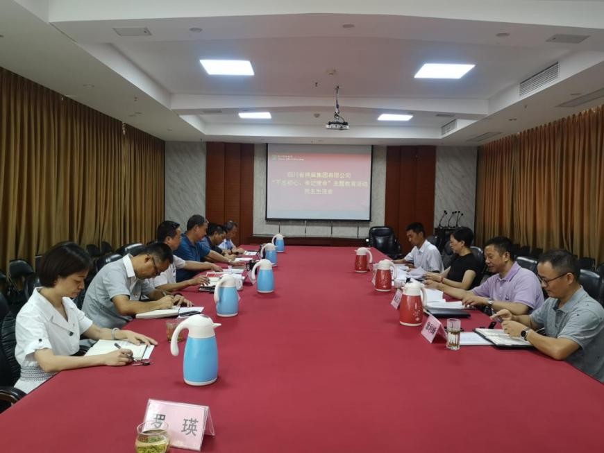 集團(tuán)公司召開“不忘初心、牢記使命”主題教育活動民主生活會