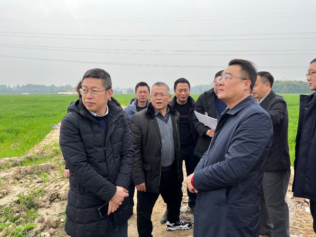 省社、省供投集團領(lǐng)導(dǎo)調(diào)研青白江區(qū)四川現(xiàn)代供銷種業(yè)園區(qū)