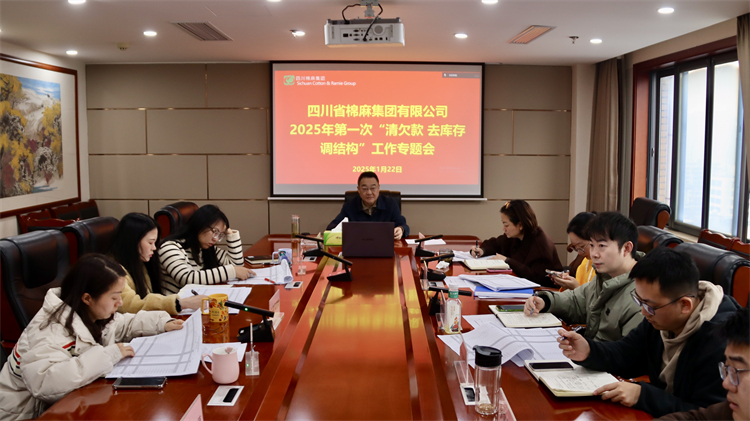 集團(tuán)公司召開2025年第一次“清欠款、去庫存、調(diào)結(jié)構(gòu)”工作專題會(huì)